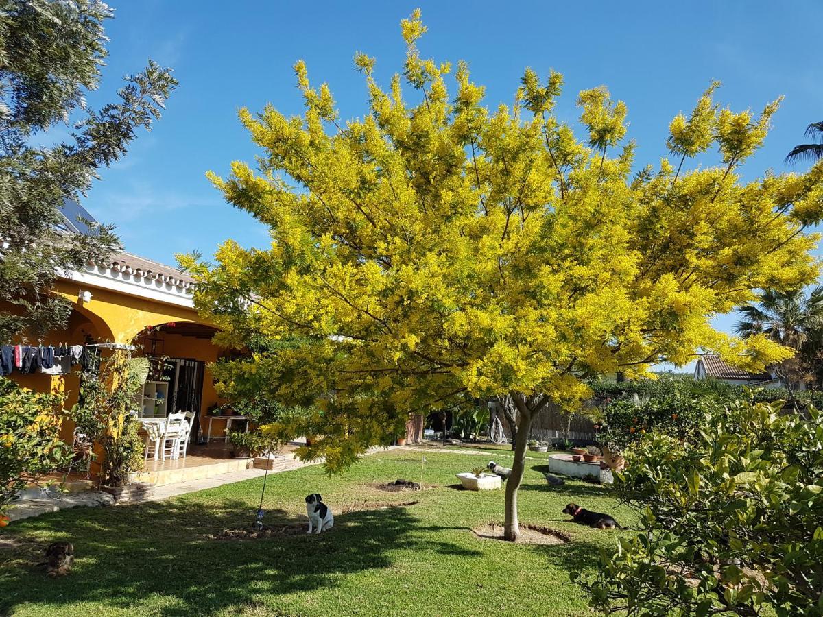 Finca La Gallina Blanca อัลเลาริน เอล กรันเด ภายนอก รูปภาพ